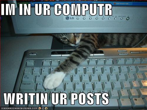 lolcat+blog.jpg