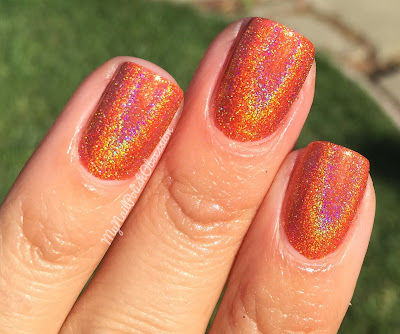 Smitten Polish Bengal Tiger Smitten Polish Bengal Tiger