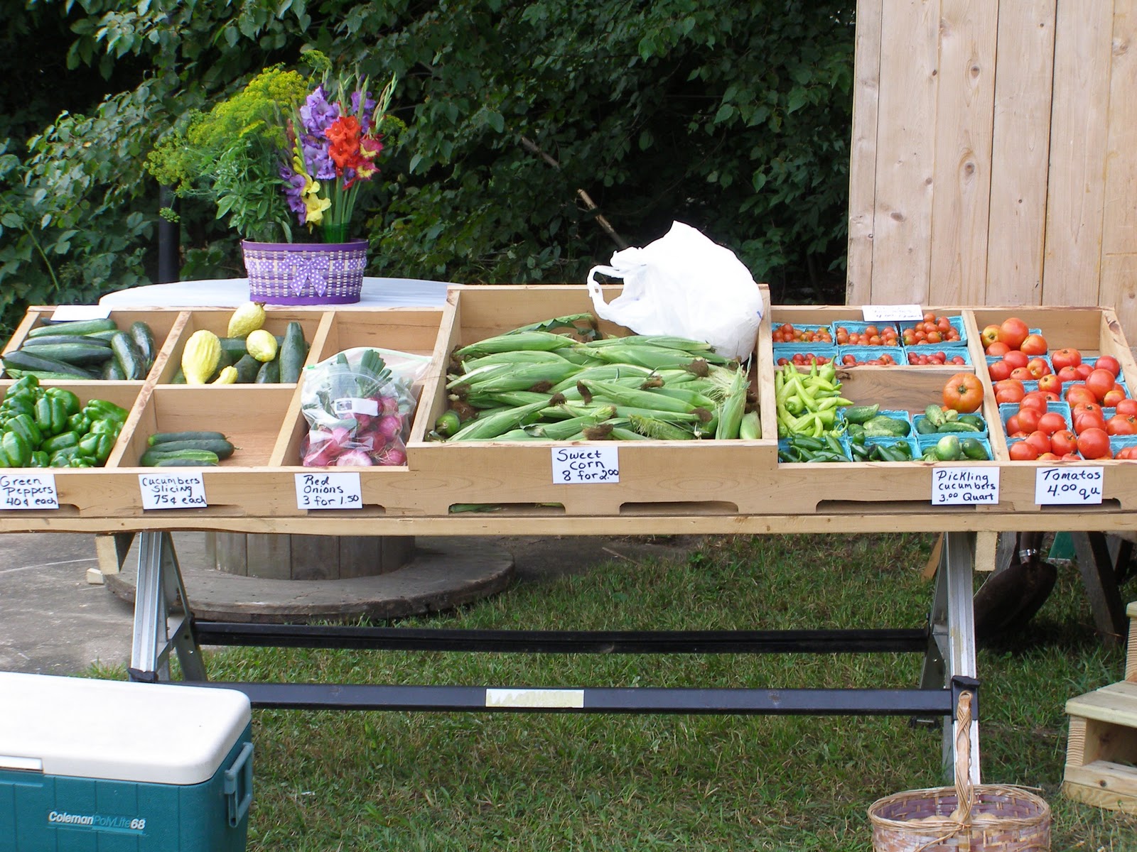 A Word From The Wise