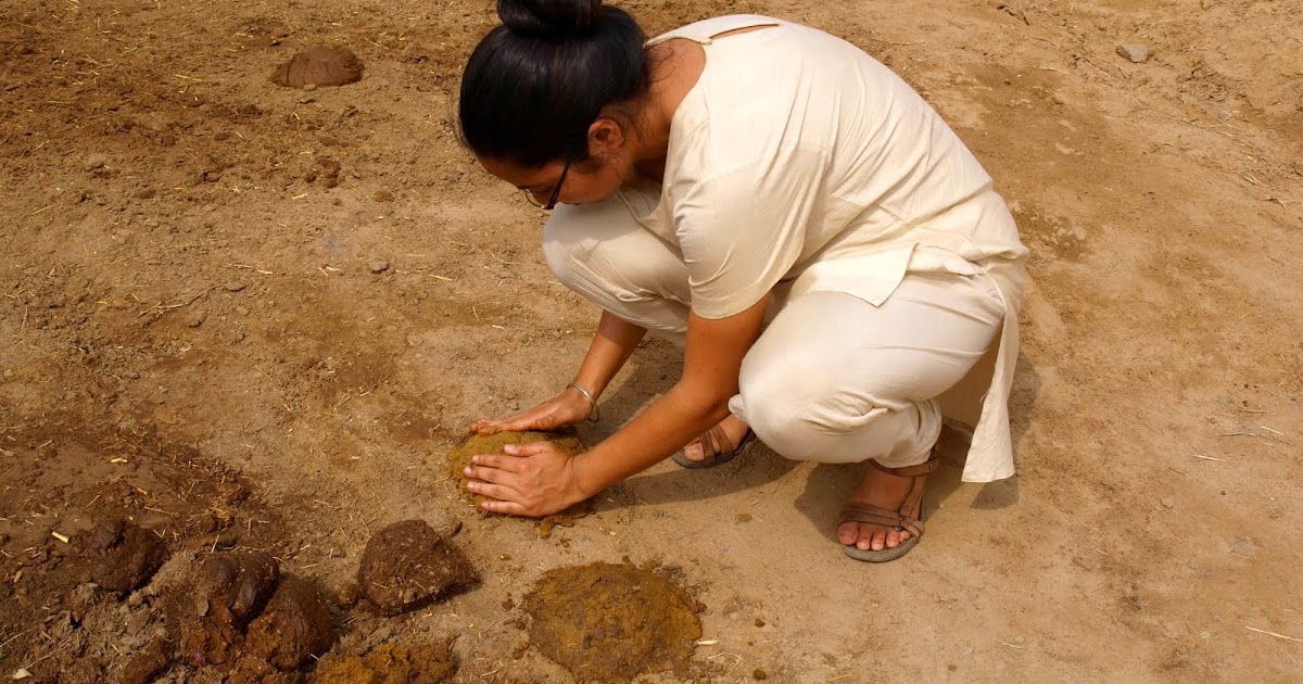 MAD: Mad About Dance 2014 - IMDb