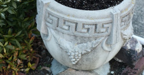 17 Apart: Urban Garden Update: Spring 2013