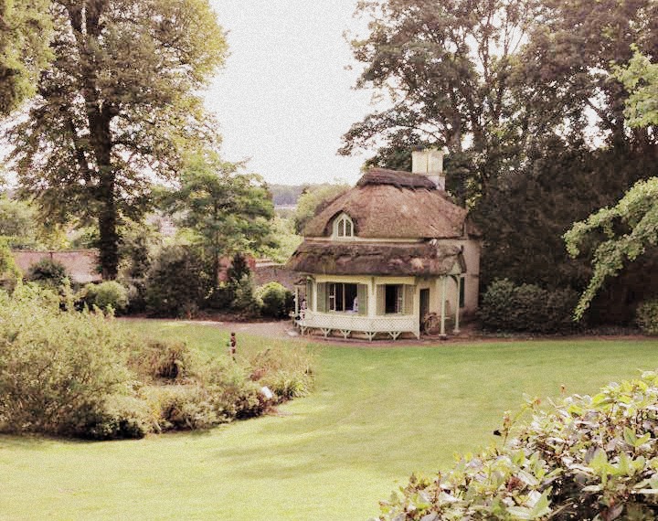 BEDM Day 2 Five Favourite Posts Little Apple Tree