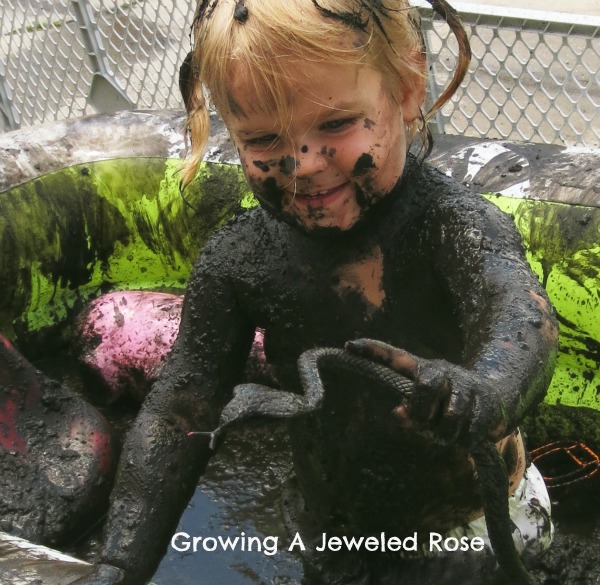 Play in the Mud The Fun Growing A Jeweled Rose