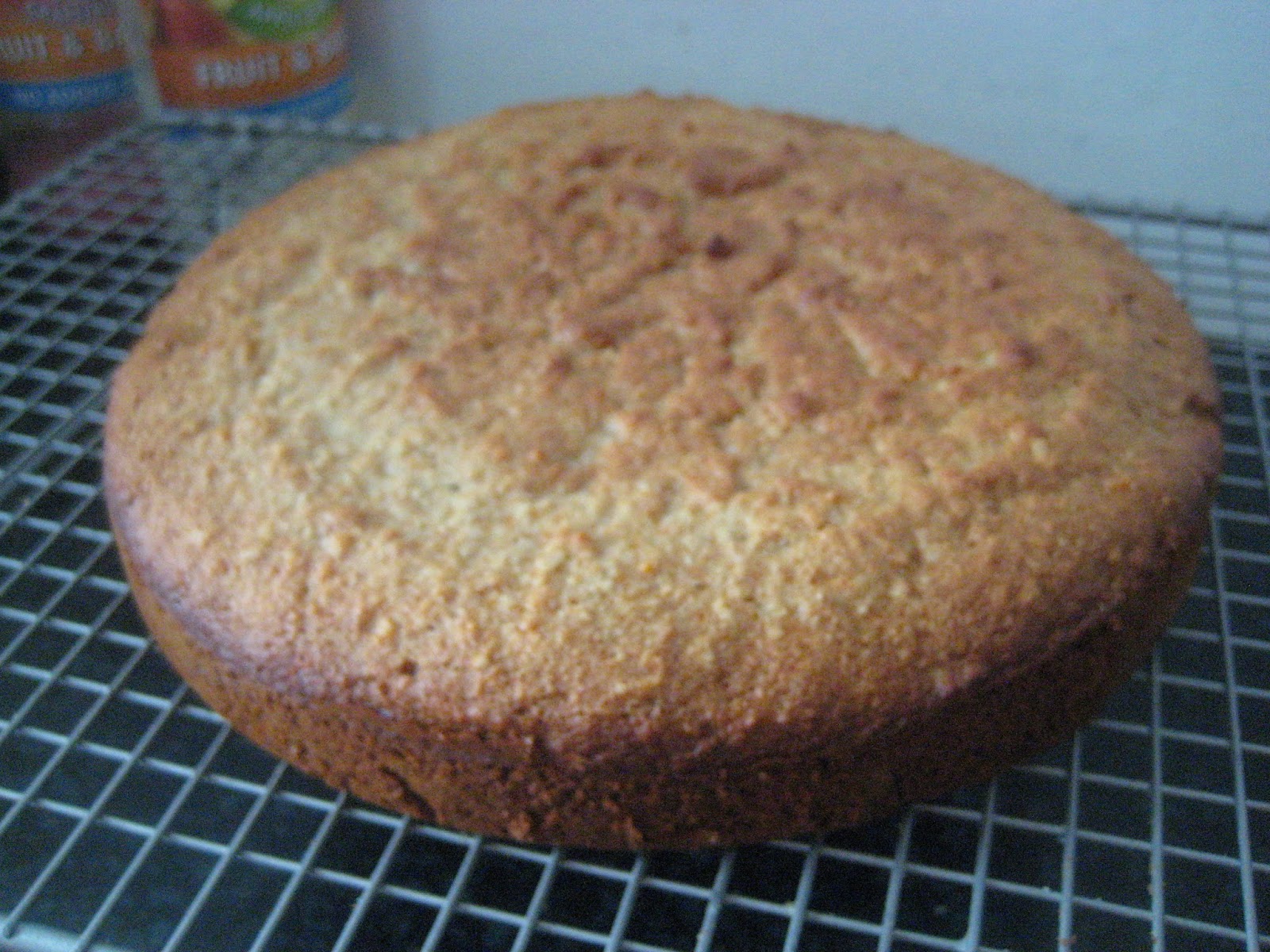 Let them eat (gluten free, lactose free) cake! Dairy free coconut cake