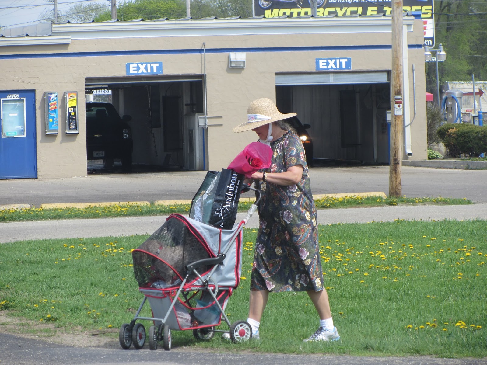 Essay on pram lady and forbidden image