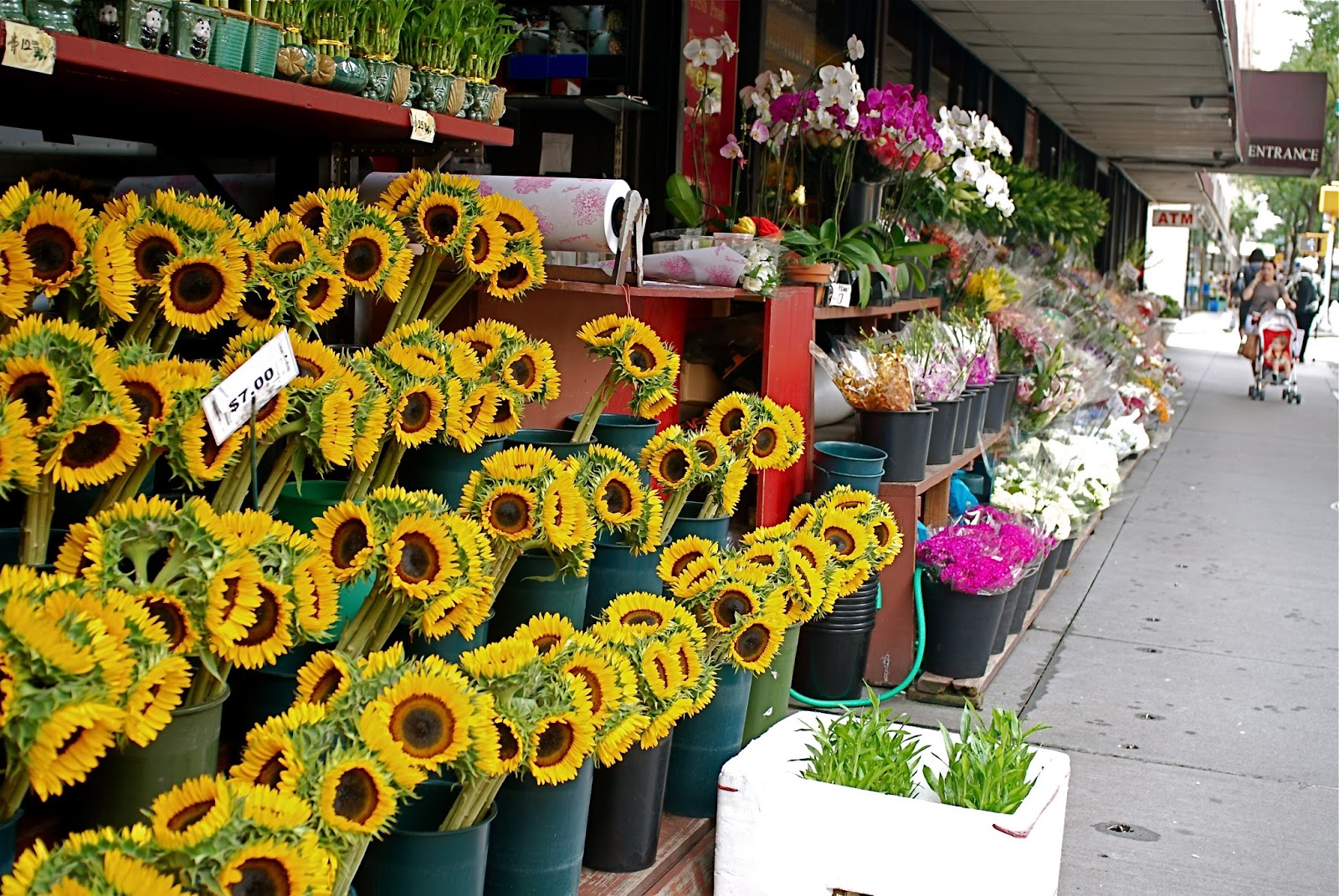 NYC ♥ NYC Sunflowers At Grace's Marketplace