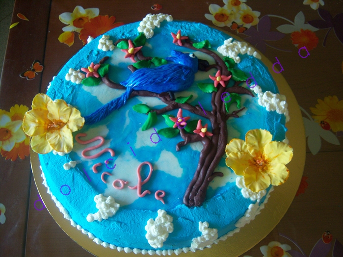 TORTA RIO Caos&Cucina