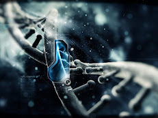 DNA rekombinan