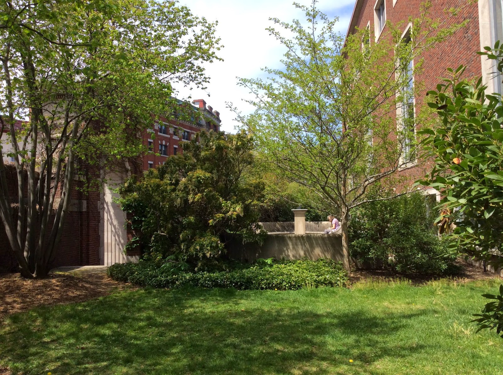 Life From The Roots The Dudley Garden Memorial at Harvard College