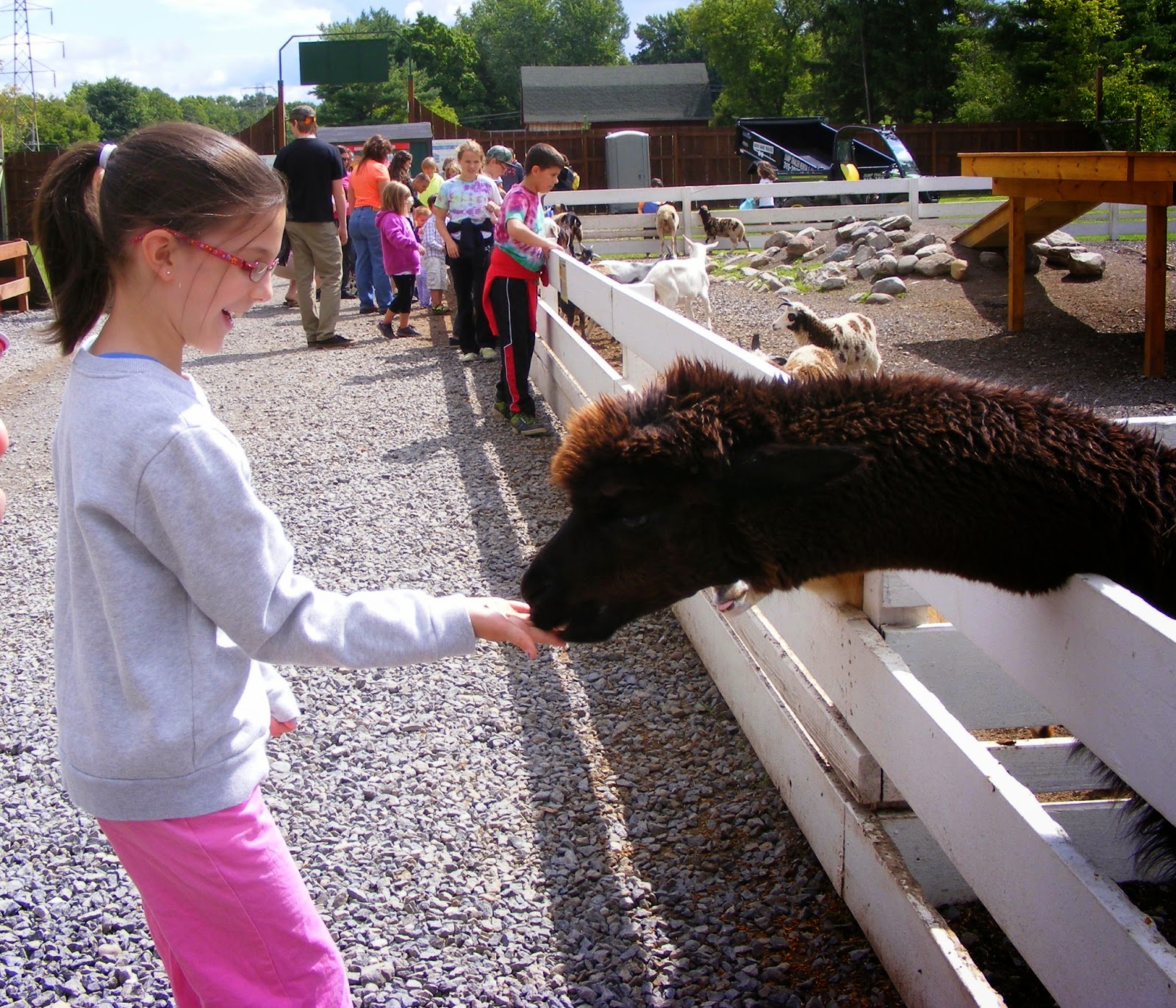 Ten kids and a Dog A Trip to The Wild Animal Experience