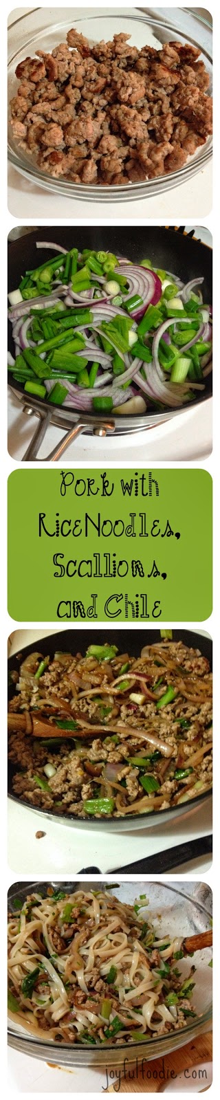 Joyfulfoodie.com Pork with rice noodles, scallions, and chile