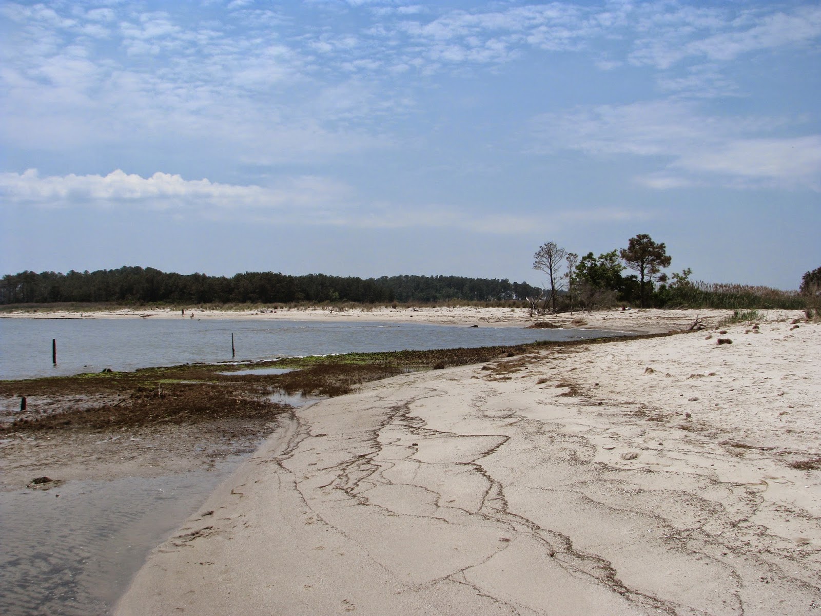 Life in Mathews Aaron's Beach