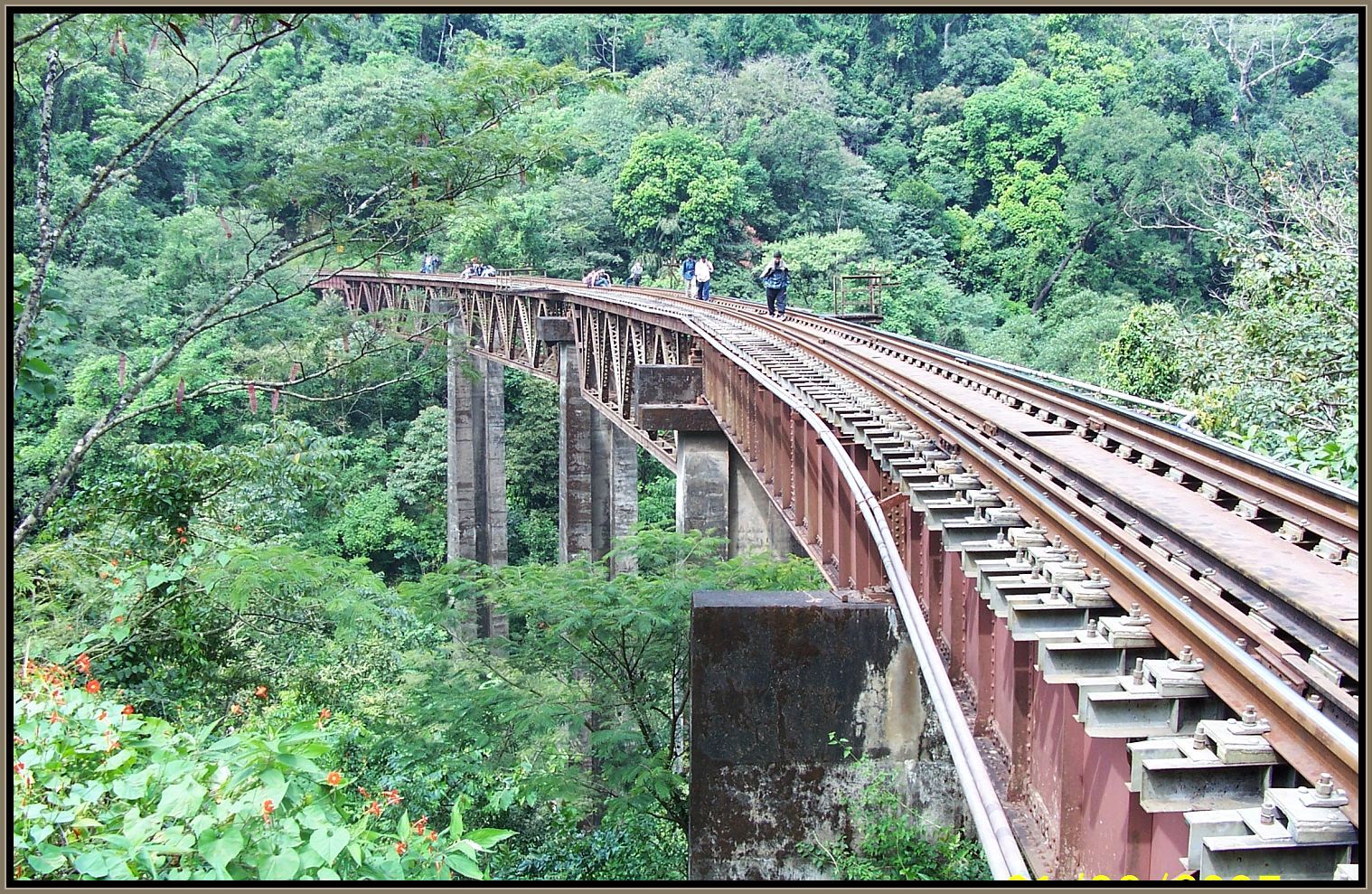 The Voice of Greenery Trekking and Travelling in Western Ghats