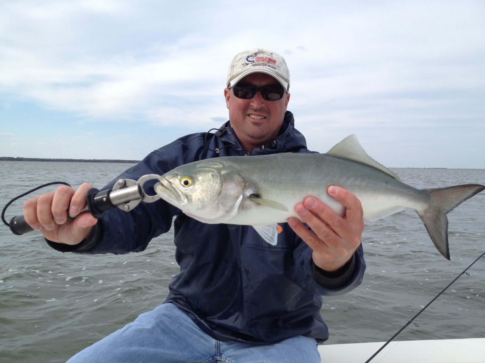 Jersey Cape Guide Service: First Bluefish