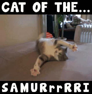 Cat of the Samurai