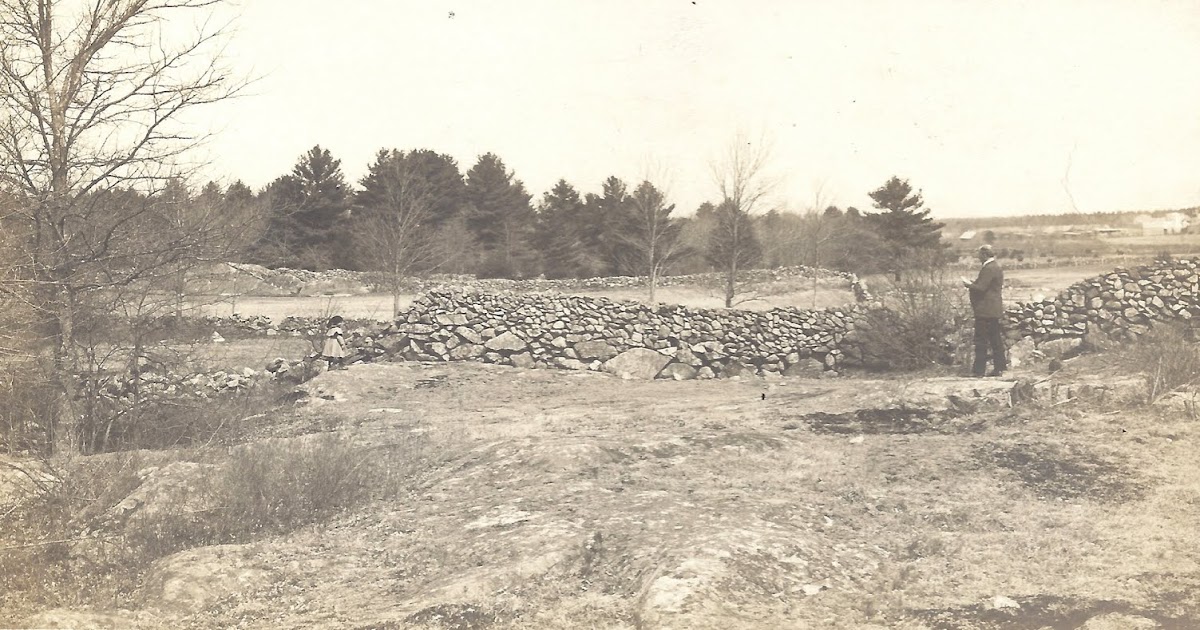 Sedimentary rocks examples image