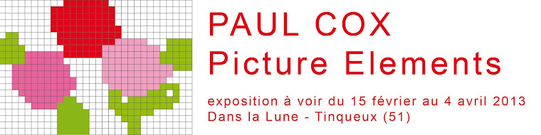 Picture Elements / Paul Cox
