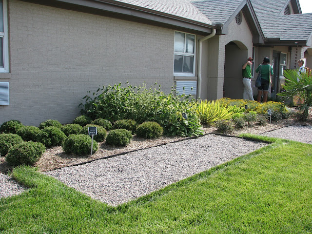 Plano Prairie Garden: Dallas Water-Wise Landscape Tour Part 1