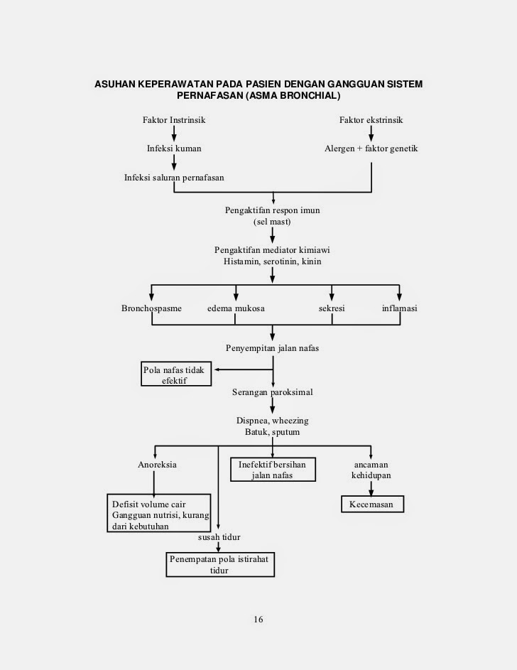 askep ispa pada anak pdf