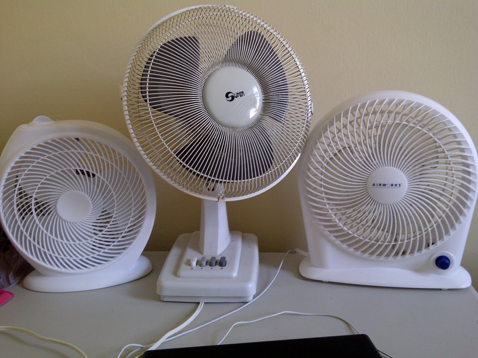 Polivision? Keep Cool, Mah Babies