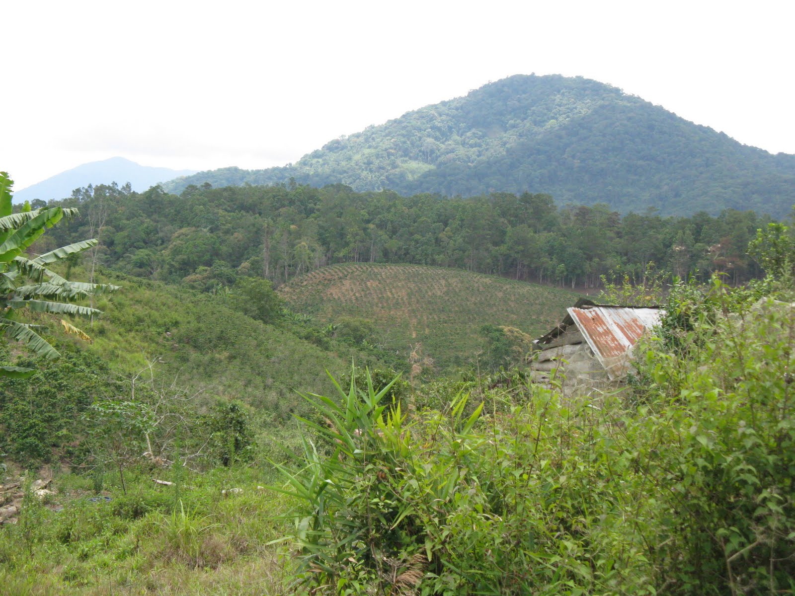 Central Highlands