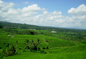 Jati Luwih Rice Terrace