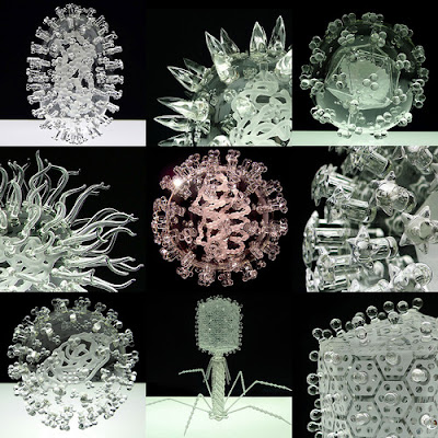 Luke Jerram glass sculptures microorganisms germs
