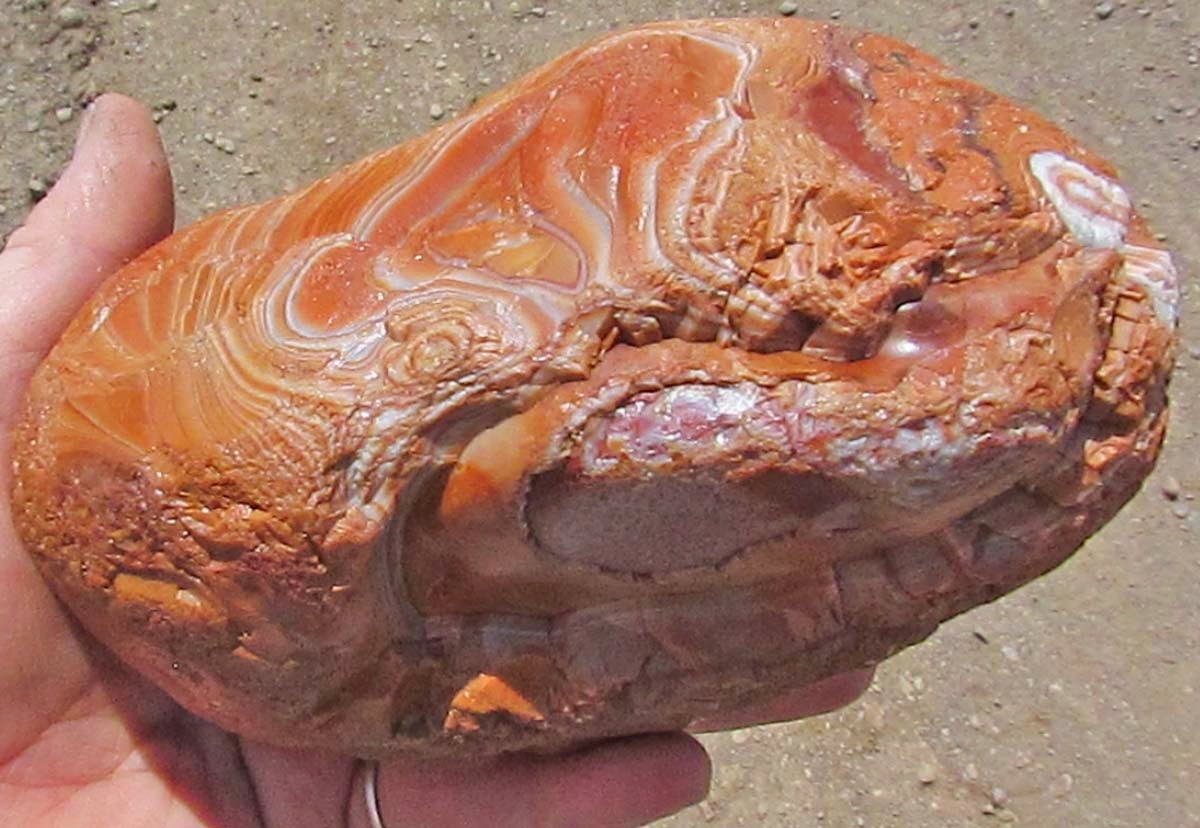 The Agatelady Adventures and Events Moose Lake, MN Agate Days