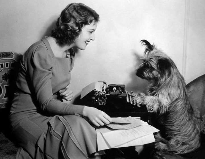 oz.Typewriter Dogs and Typewriters