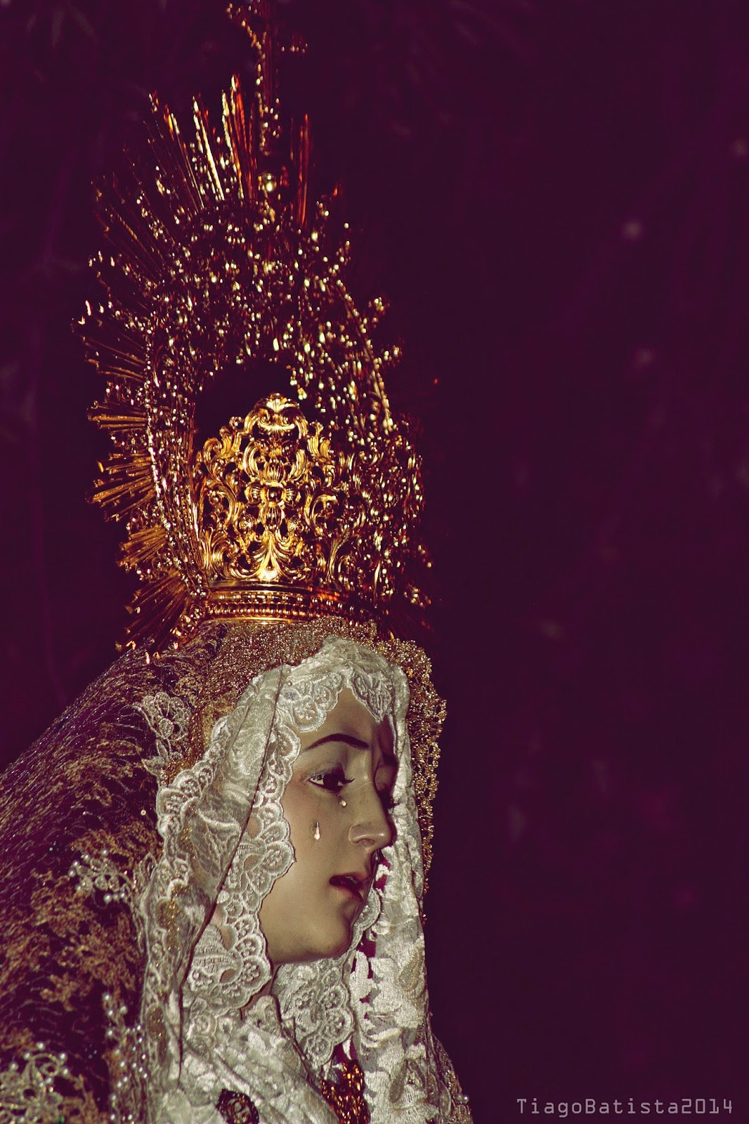 Amareleja JungleKey.pt Imagem 300