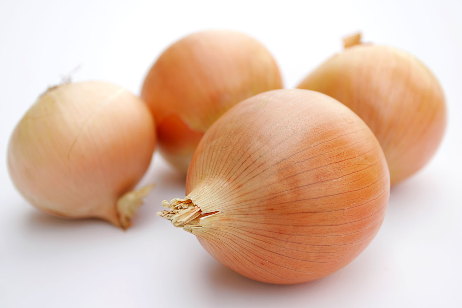 Onion Onions