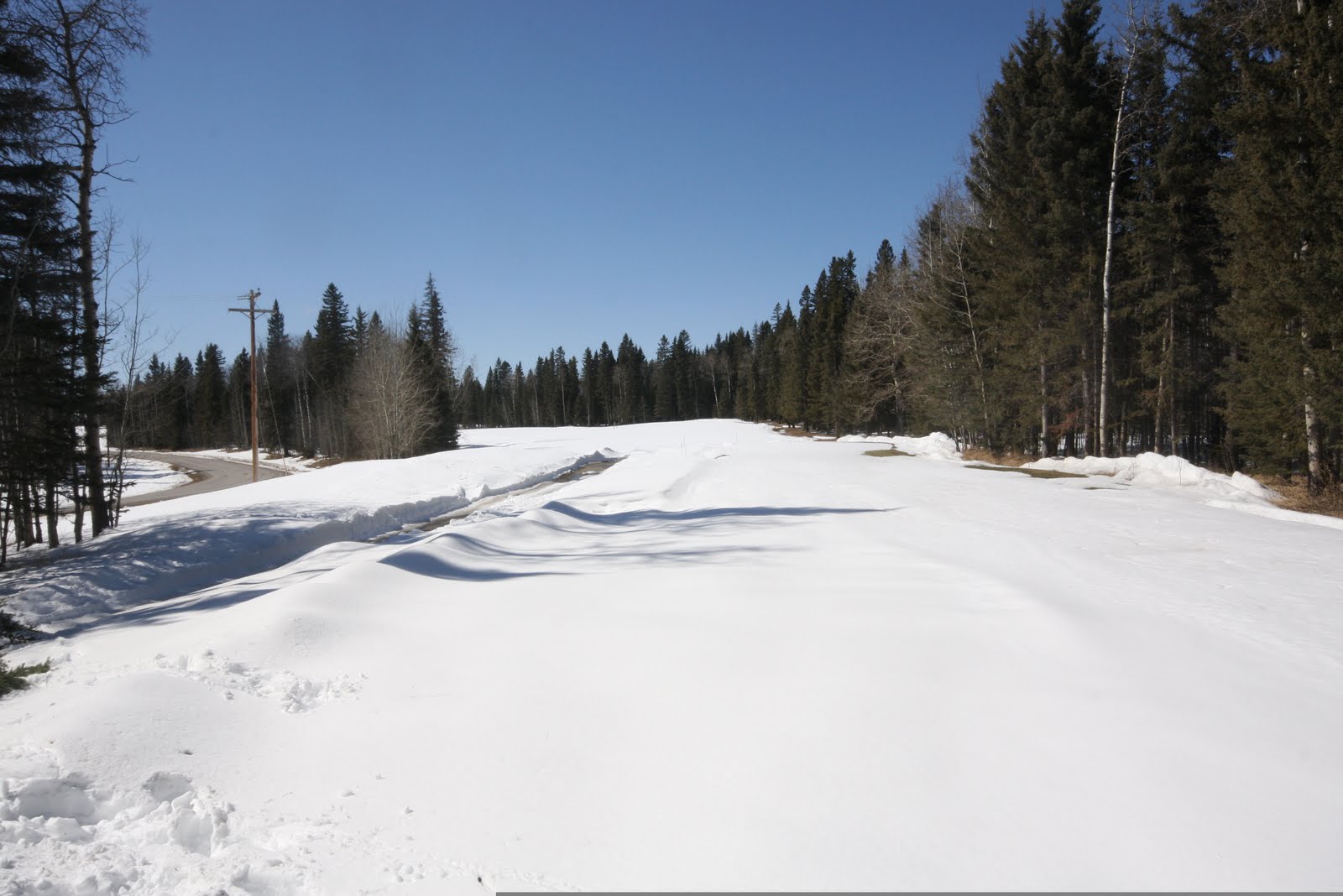 Golf Course Snow