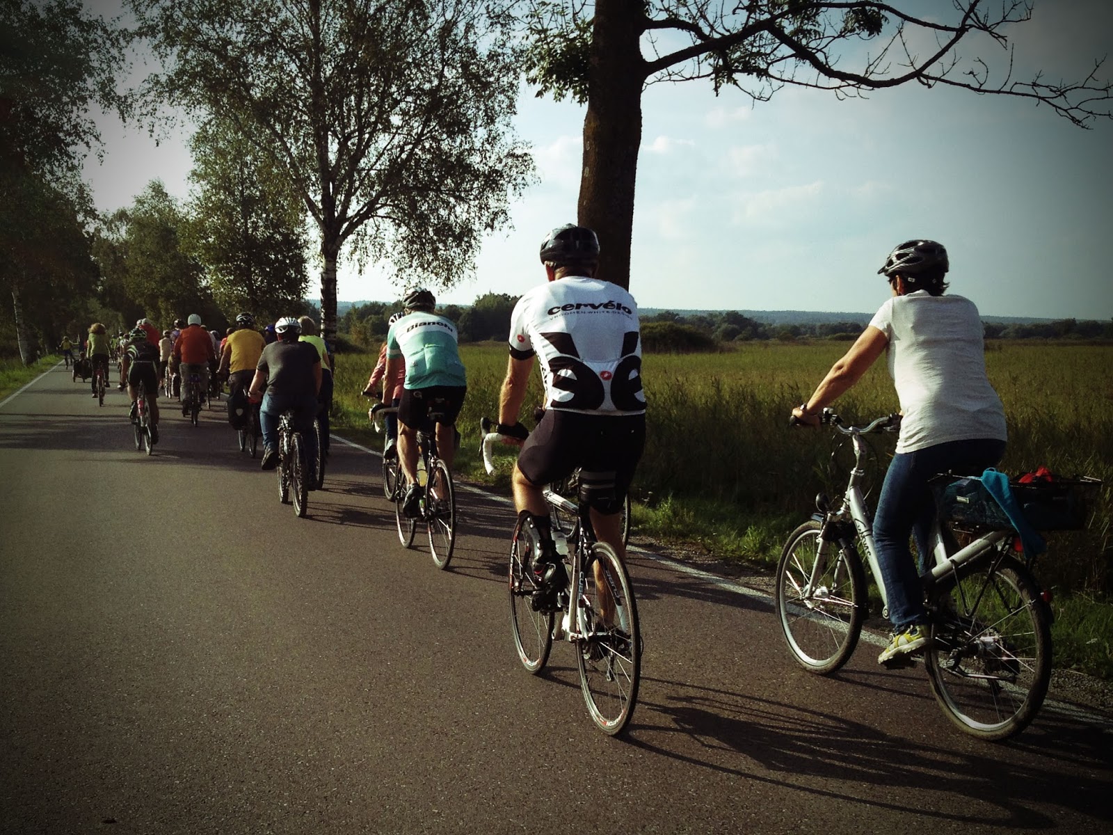 Radldemo Birkenallee