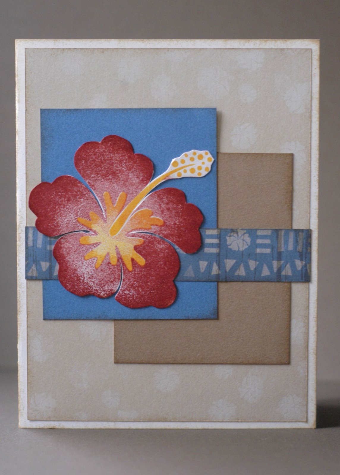 The Life Of Buttercup Aloha cards gift set