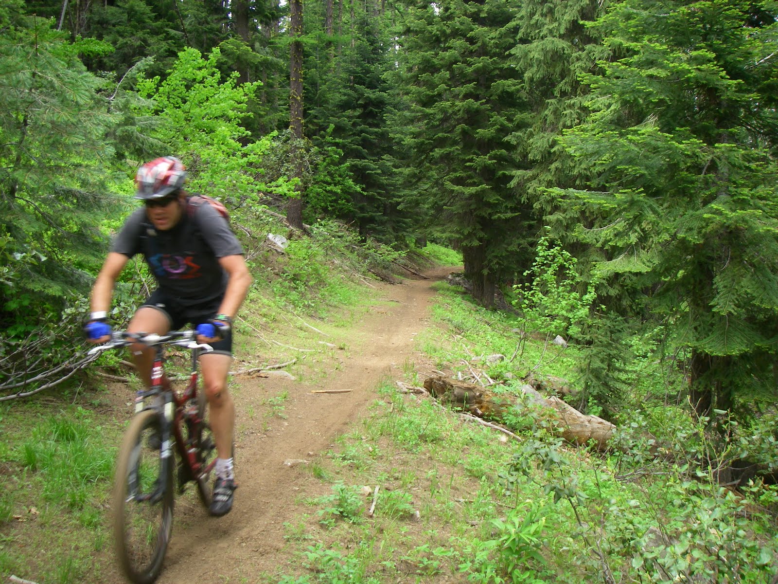 Stueby's Outdoor Journal Check out these snowfree trails in McCall