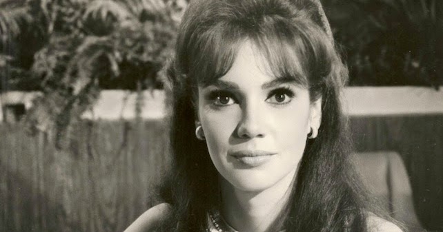 Stirred, Straight Up, with a Twist Farewell, Miss America