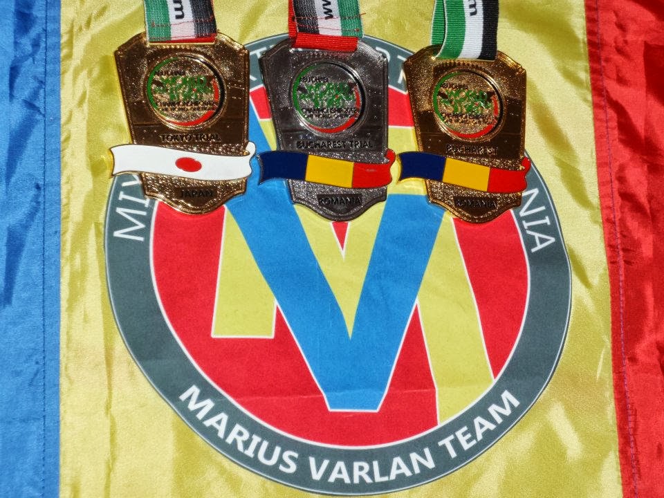 Marius Varlan Team