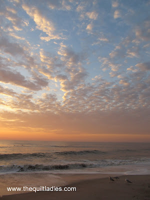 pictures from the beach in Florida