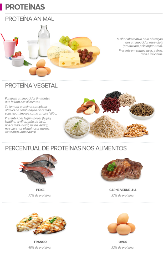 lista de proteinas e carboidratos nutri 231 227 o sa 250 de d 250 vidas sobre os fontes de proteinas de origem animal e vegetal nutri 231 227 o hol 237 stica consuma prote 237 lista de proteinas e carboidratos nutri 231 227 o sa 250 de d 250 vidas sobre os fontes de proteinas de origem animal e vegetal nutri 231 227 o hol 237 stica consuma prote 237