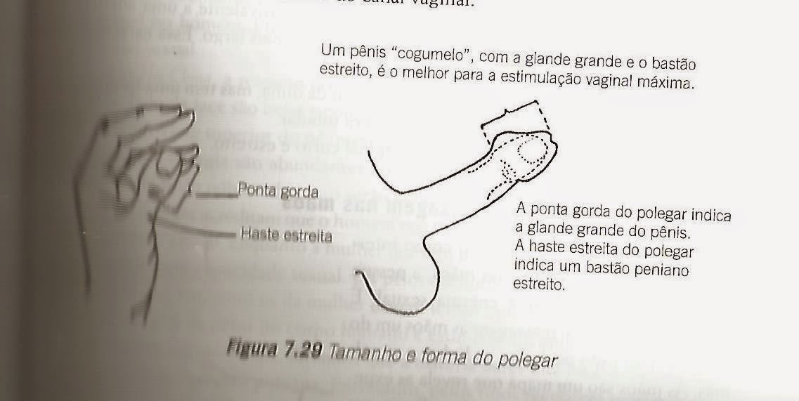 A lista de uma grama de perda de peso gordura ardente