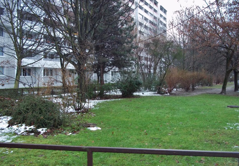 Botanischer Garten Berlin Dezember bgfas botanischer garten berlin lichtenberg frankfurter Botanischer Garten Berlin Dezember bgfas botanischer garten berlin lichtenberg frankfurter
