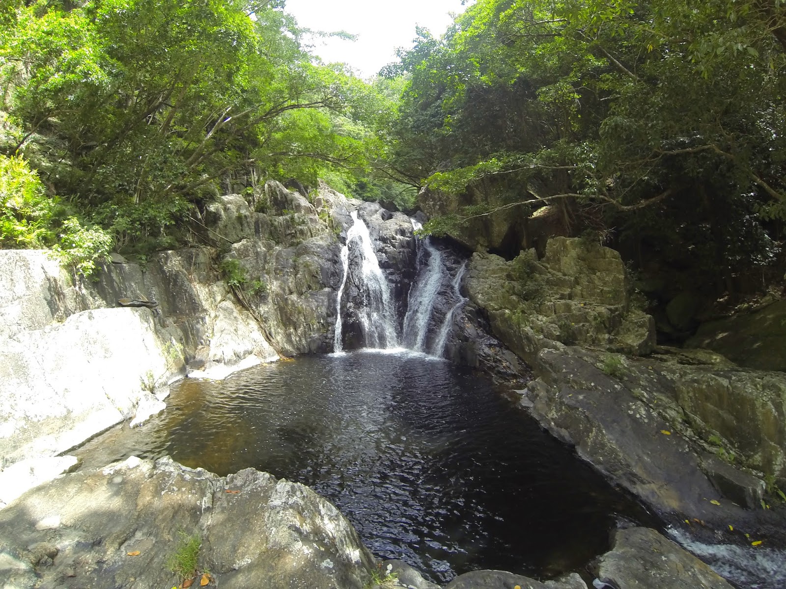To Catch Sight Of. Spring Creek Falls