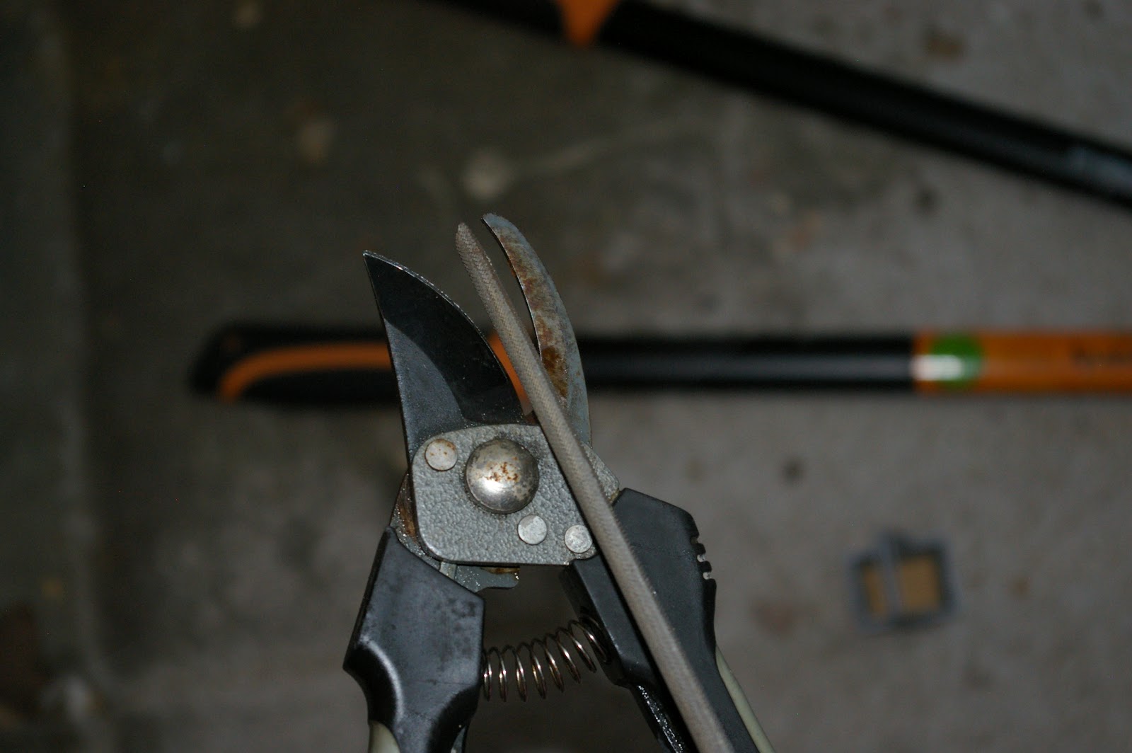 A Better Life How to Sharpen Loppers and HandPruners