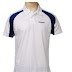 Reebok Play Dry Polo at Rs. 249