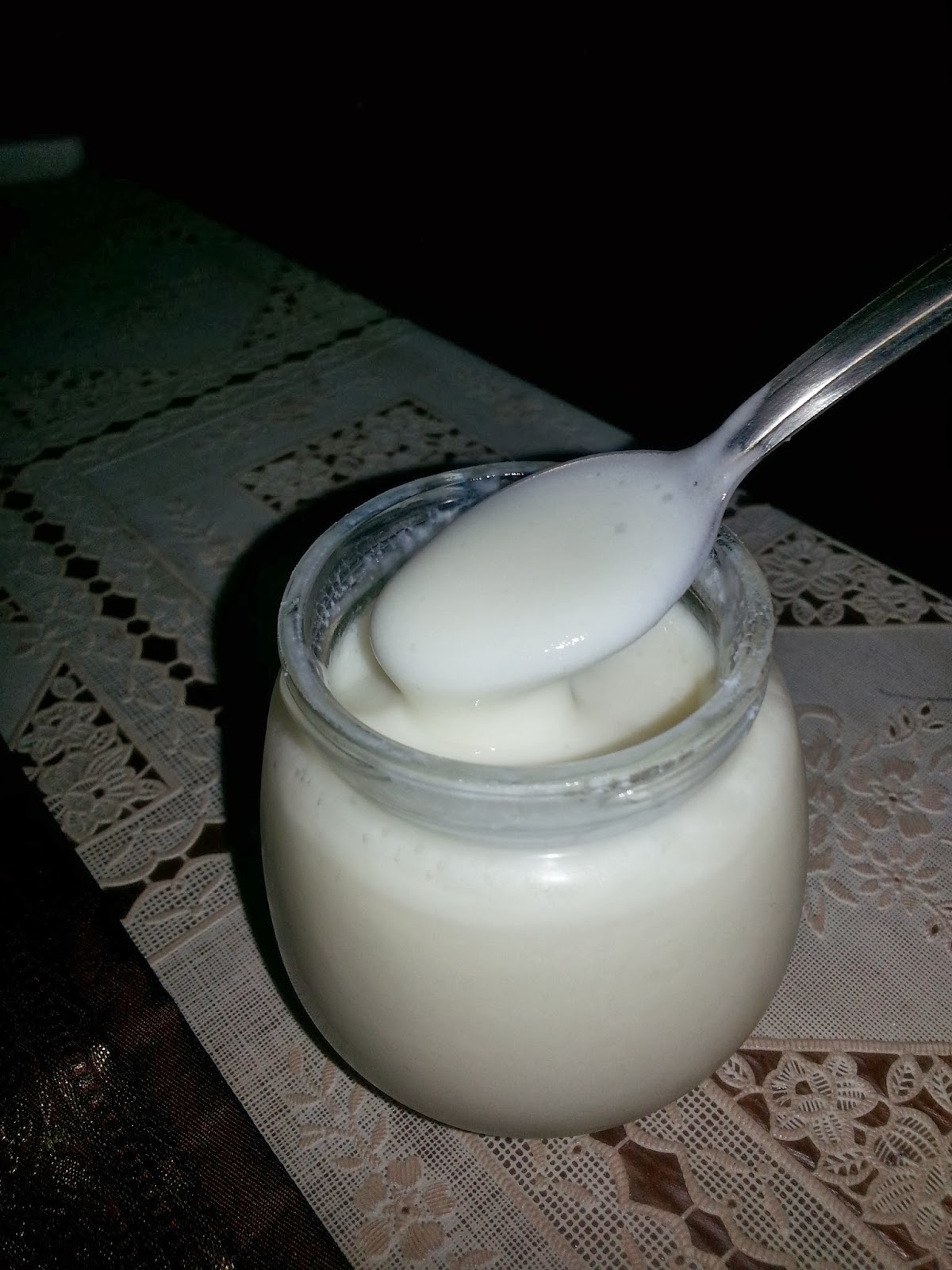 Yogurt fatto col bimby