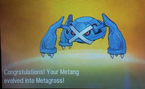 At what level does Metang evolve?