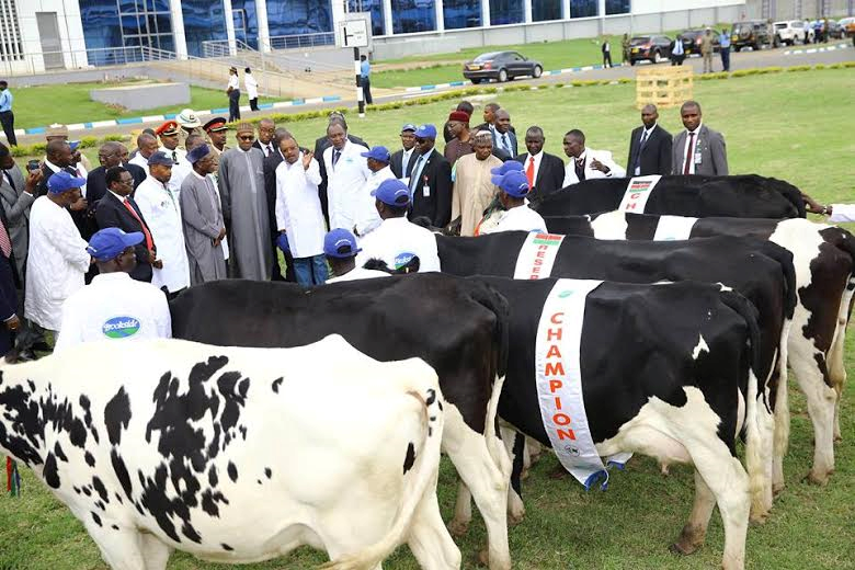 Buhari visits Dairy farm in Kenya
