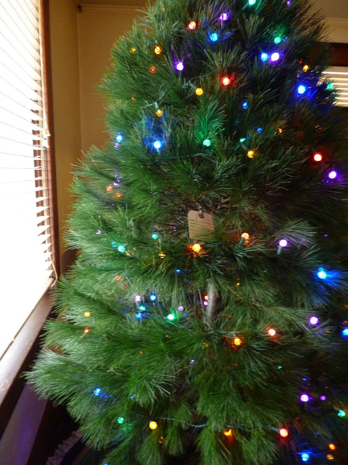 Sapin classique trendmetr fremode niza My Homemade Iowa Life: Our first real Christmas tree