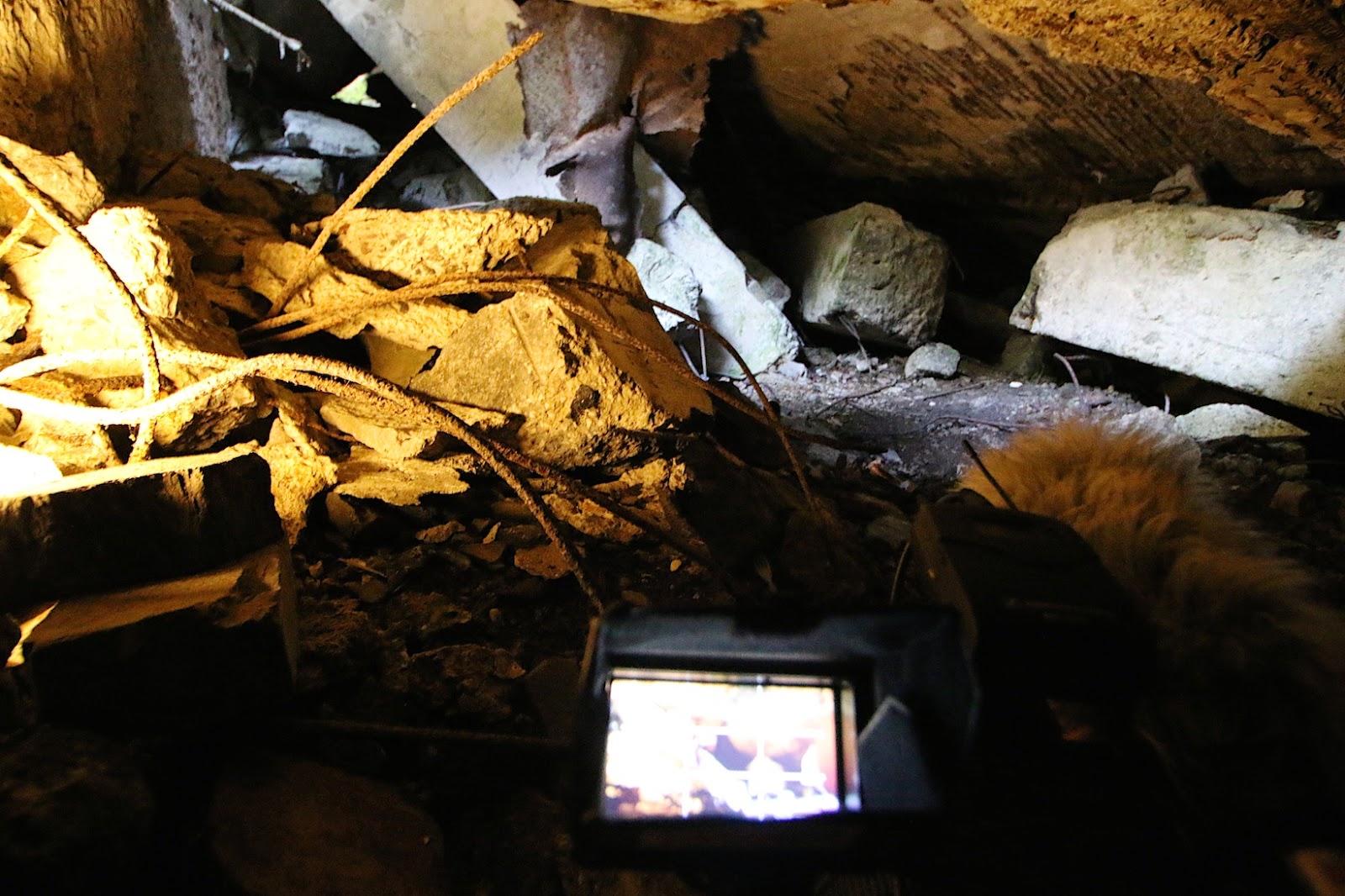 36 Stunden beim Rescue Camp Barnim 2014 - Hier ein ausführlicher Lagebericht! 53 Bernau LIVE - Dein Stadtmagazin für Bernau bei Berlin