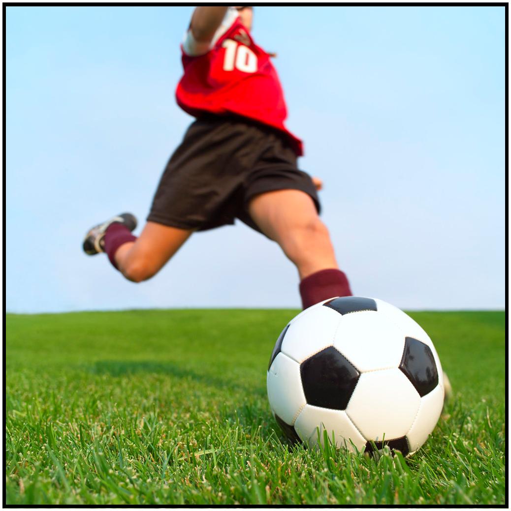 soccer_graphic1.jpg (1038×1039)